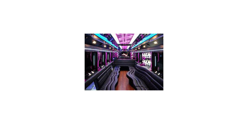 Limobus - inside